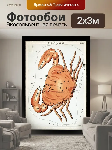 200 × 300 см · Экосольвентная печать