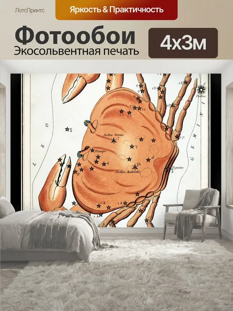 400 × 300 см · Экосольвентная печать