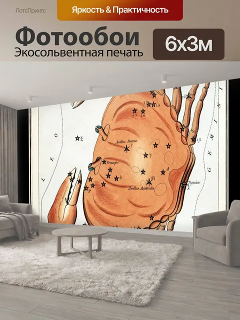 600 × 300 см · Экосольвентная печать