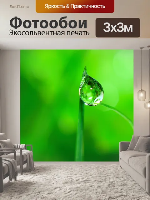 Фотообои Вода, подагра, трава