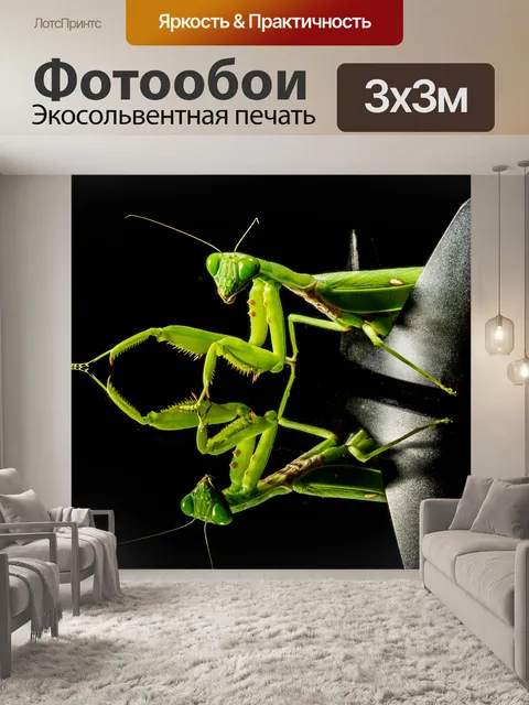 Фотообои Богомол, ловля насекомых, зеленый
