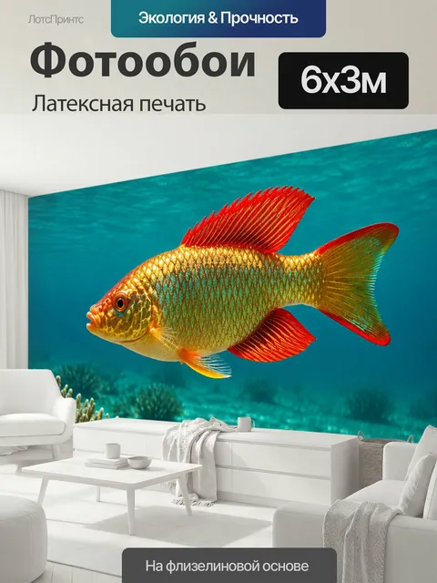 600 × 300 см · Латексная печать