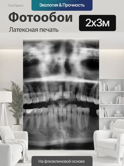 200 × 300 см · Латексная печать