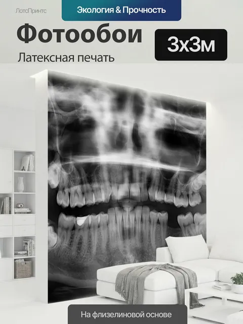 300 × 300 см · Латексная печать
