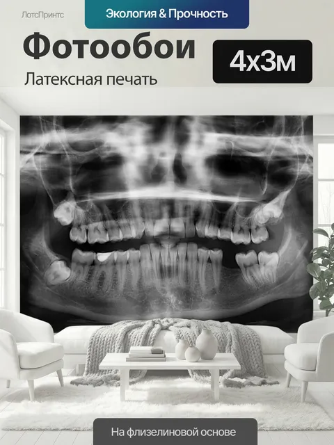 400 × 300 см · Латексная печать
