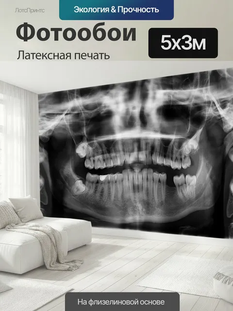 500 × 300 см · Латексная печать