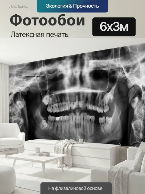 600 × 300 см · Латексная печать