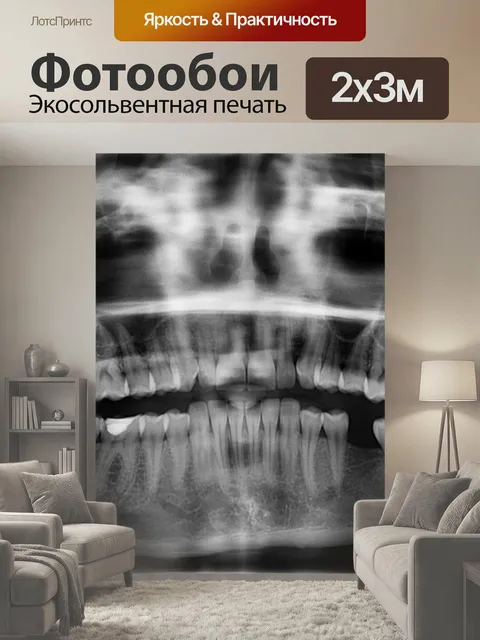 200 × 300 см · Экосольвентная печать