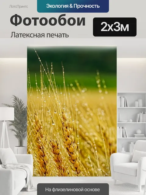 200 × 300 см · Латексная печать