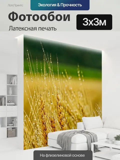 300 × 300 см · Латексная печать