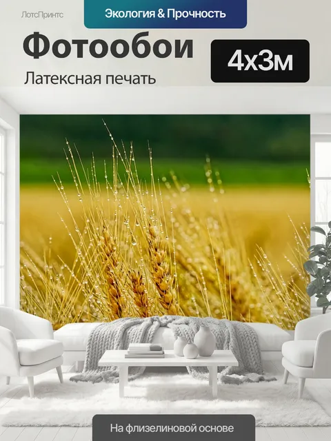 400 × 300 см · Латексная печать