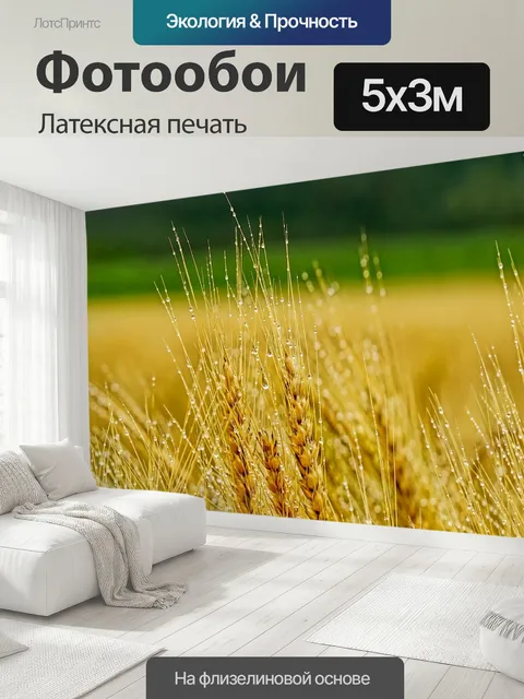 500 × 300 см · Латексная печать