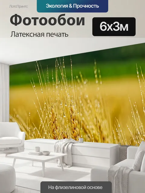 600 × 300 см · Латексная печать