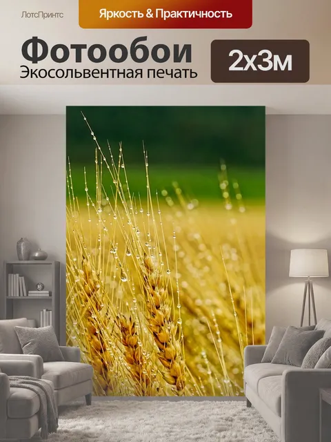 200 × 300 см · Экосольвентная печать