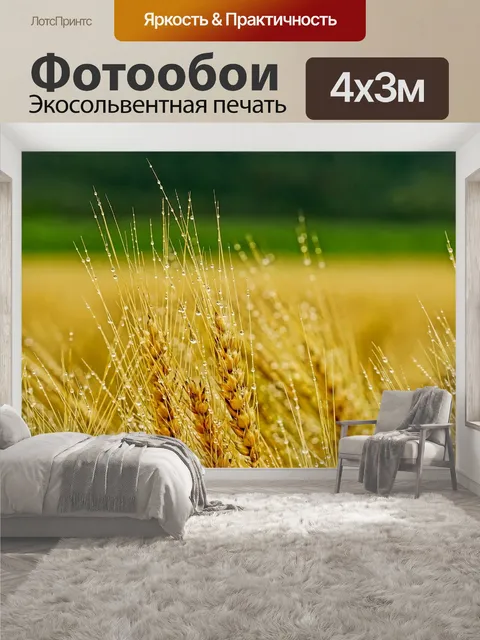 400 × 300 см · Экосольвентная печать