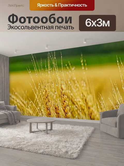 600 × 300 см · Экосольвентная печать