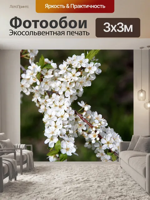 Фотообои Черемуха, дерево, цветение