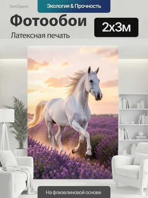 200 × 300 см · Латексная печать