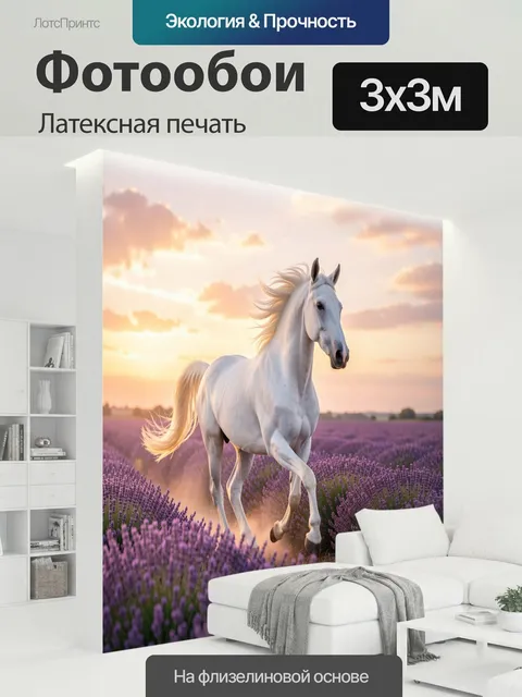 300 × 300 см · Латексная печать