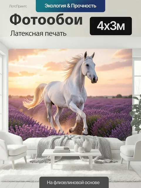 400 × 300 см · Латексная печать