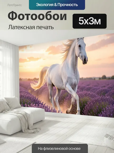 500 × 300 см · Латексная печать