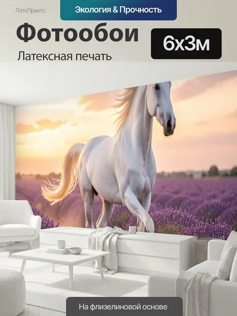 600 × 300 см · Латексная печать