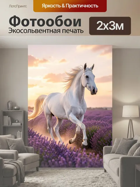 200 × 300 см · Экосольвентная печать