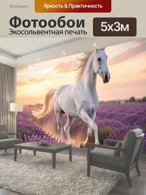 500 × 300 см · Экосольвентная печать