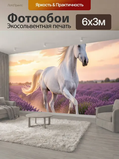 600 × 300 см · Экосольвентная печать