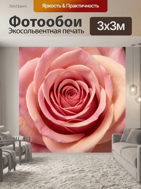 Фотообои Нежная роза в крупном плане. Макросъемка распустившегося цветка с бархатистыми лепестками, выполненная в мягк…