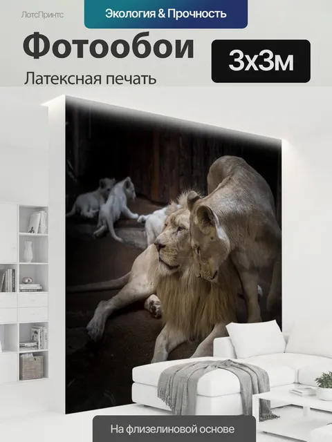 300 × 300 см · Латексная печать