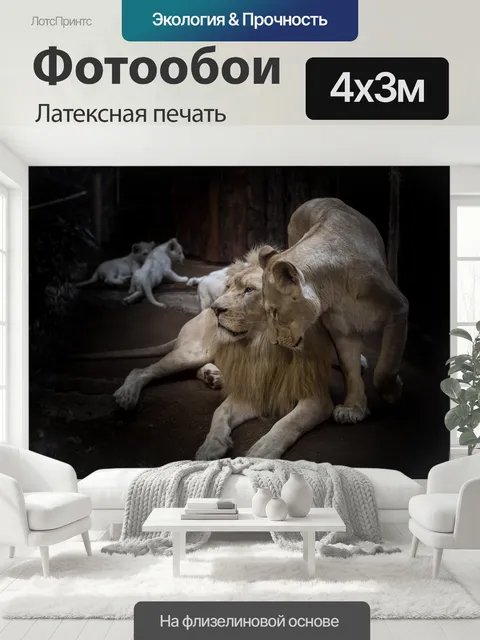 400 × 300 см · Латексная печать
