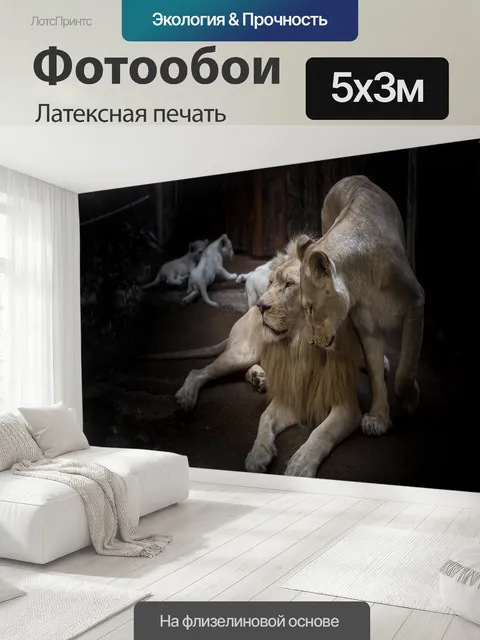 500 × 300 см · Латексная печать