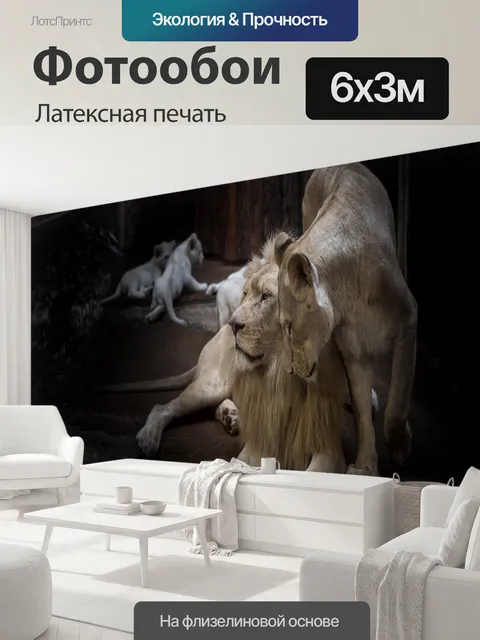 600 × 300 см · Латексная печать