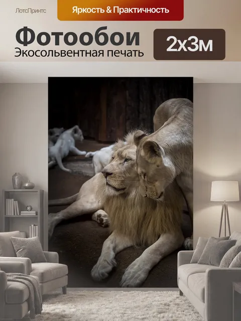 200 × 300 см · Экосольвентная печать