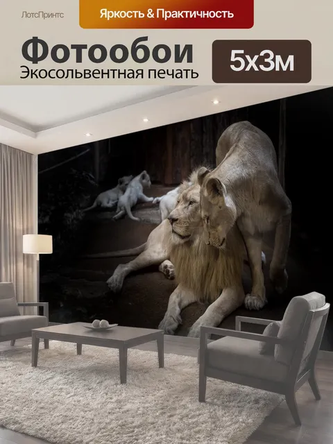 500 × 300 см · Экосольвентная печать