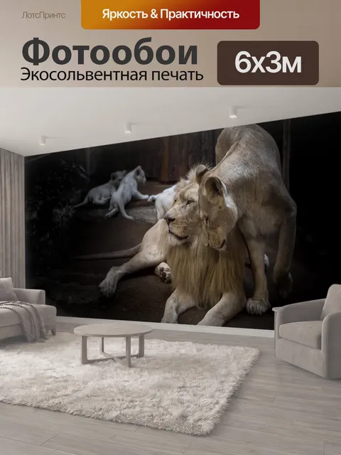 600 × 300 см · Экосольвентная печать