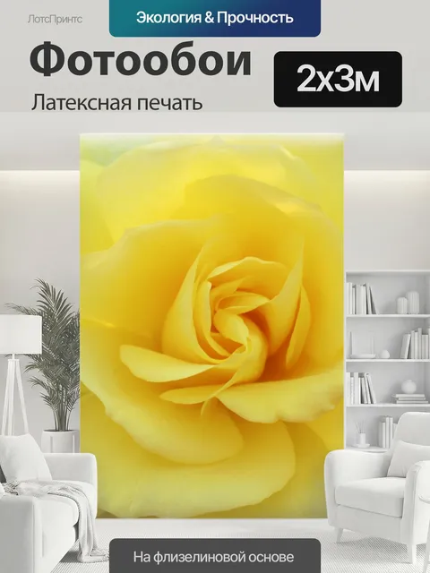 200 × 300 см · Латексная печать
