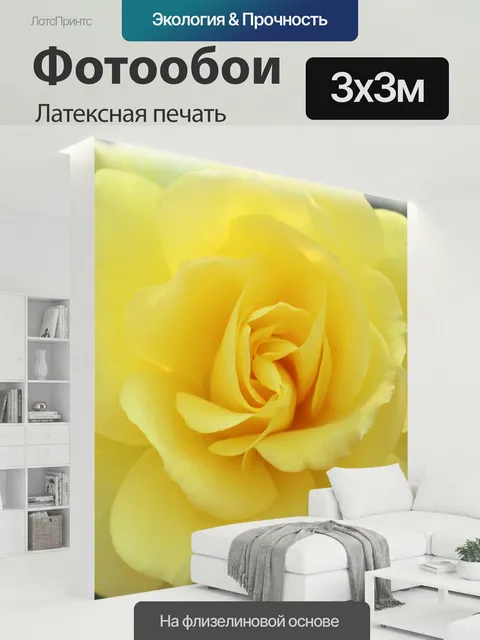 300 × 300 см · Латексная печать