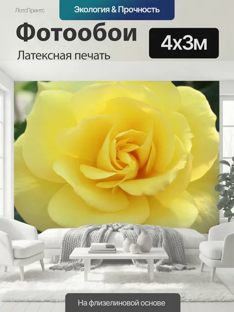400 × 300 см · Латексная печать