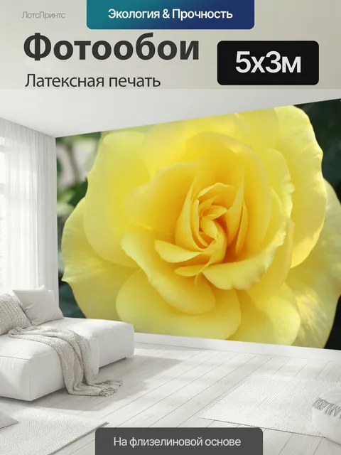 500 × 300 см · Латексная печать