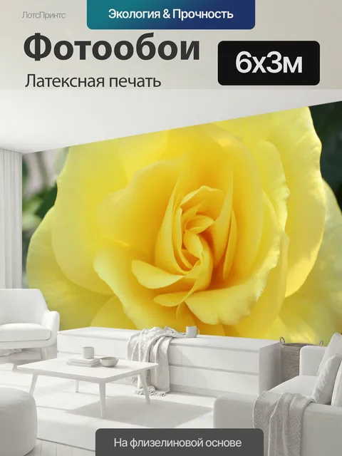 600 × 300 см · Латексная печать