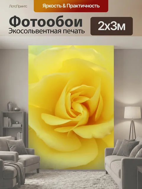 200 × 300 см · Экосольвентная печать