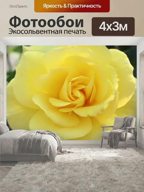 400 × 300 см · Экосольвентная печать