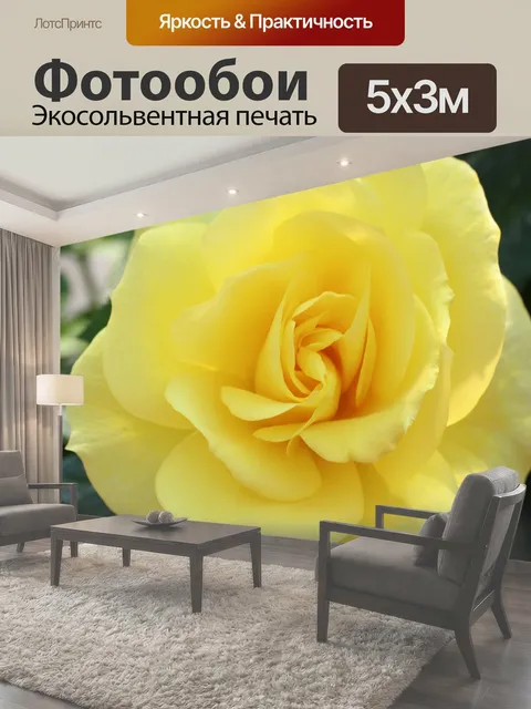 500 × 300 см · Экосольвентная печать