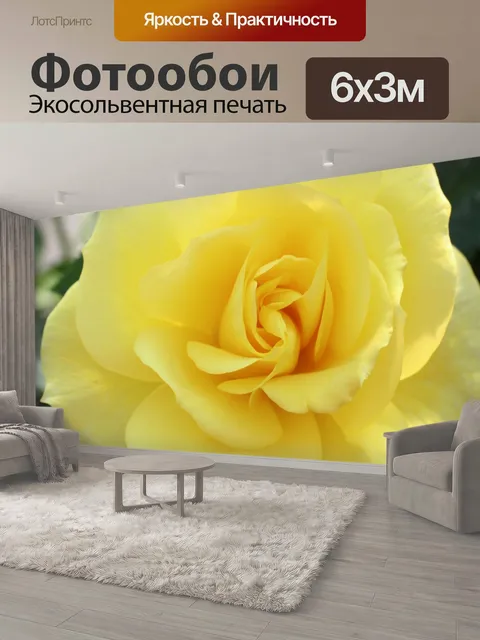 600 × 300 см · Экосольвентная печать