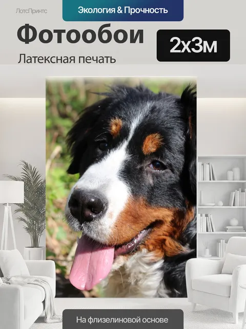 200 × 300 см · Латексная печать