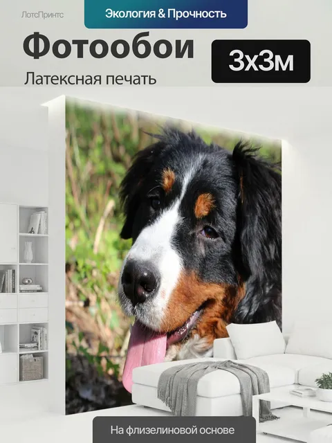 300 × 300 см · Латексная печать