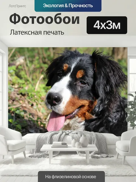 400 × 300 см · Латексная печать