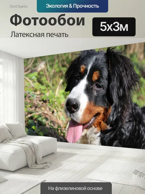 500 × 300 см · Латексная печать